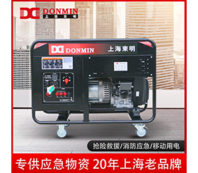 東明單三相20kw小型應(yīng)急備用汽油發(fā)電機(jī)組 DMDS22000CXD/YJ